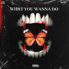 What You Wanna Do