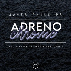 James Phillips - Waking Machine (Dennis Rema Remix)