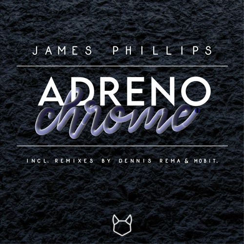 James Phillips - Waking Machine (Dennis Rema Remix)
