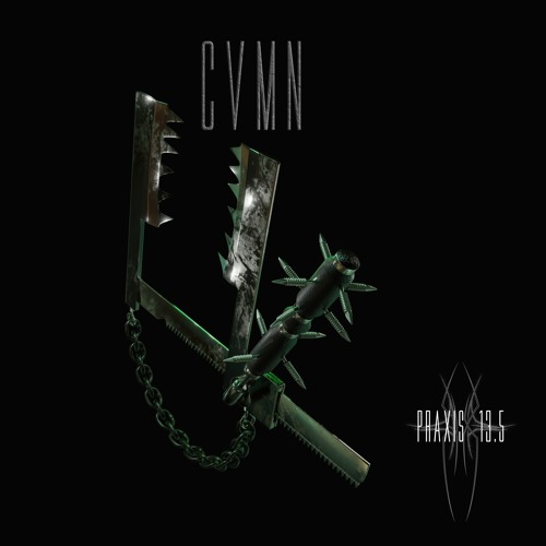 CVMN Praxis 13.5 #14