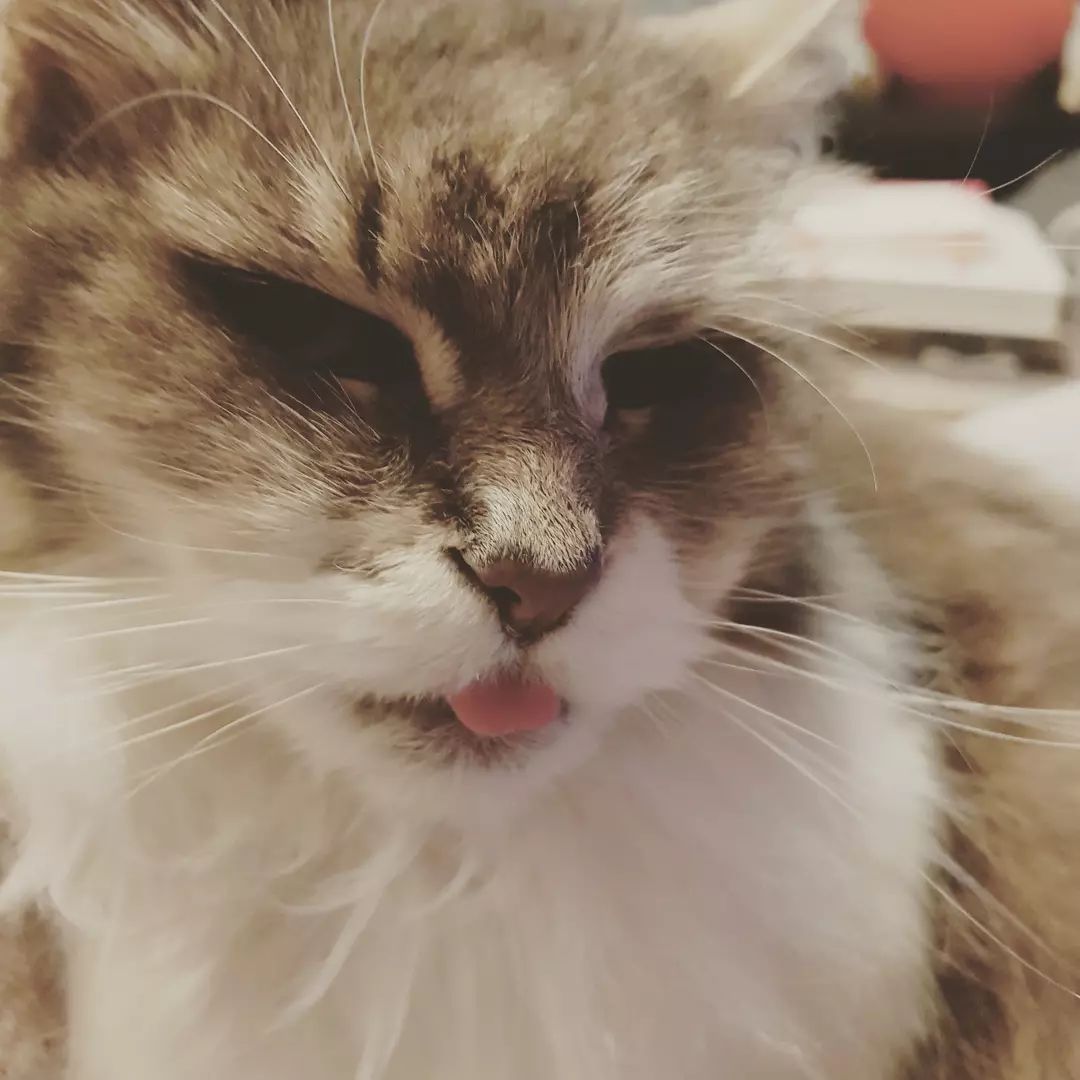 Meepcity New Playground