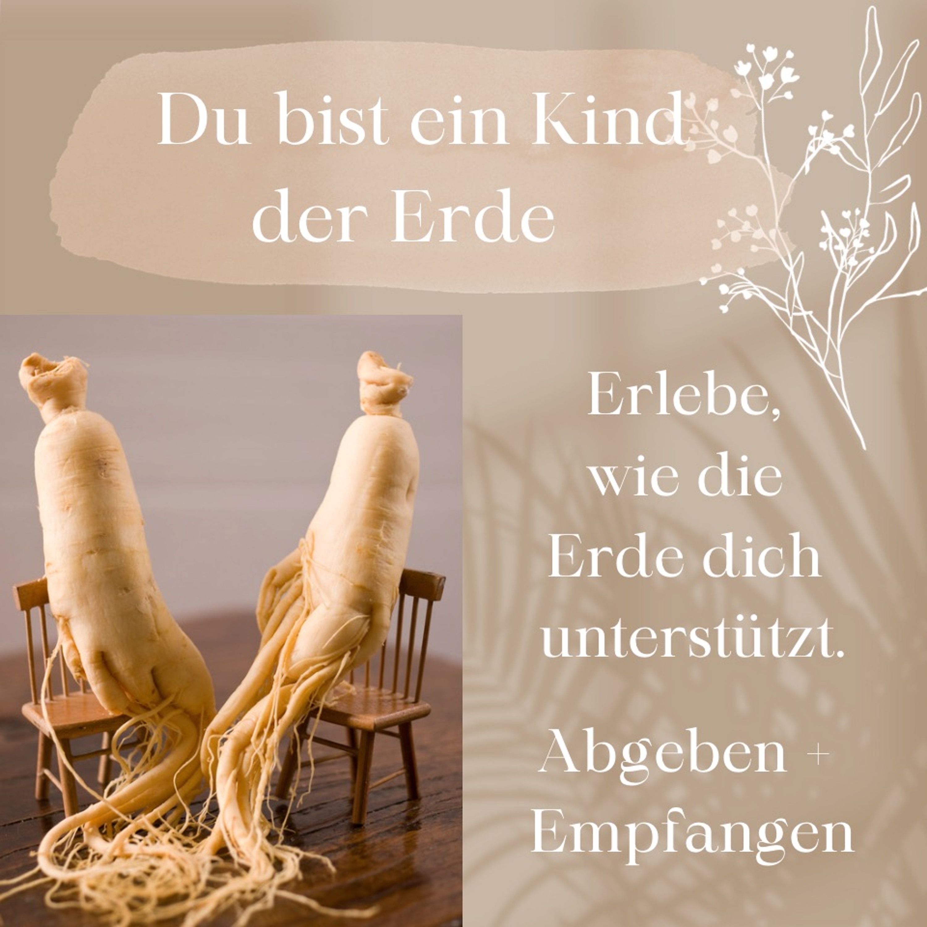 Seelentraum | Meditation | Coaching