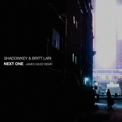 Shadowkey & Britt Lari - Next One (James Wiles Extended Club Mix)