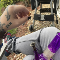 newport menthol short