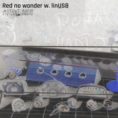 Red no wonder w. linUSB [09.10.24]