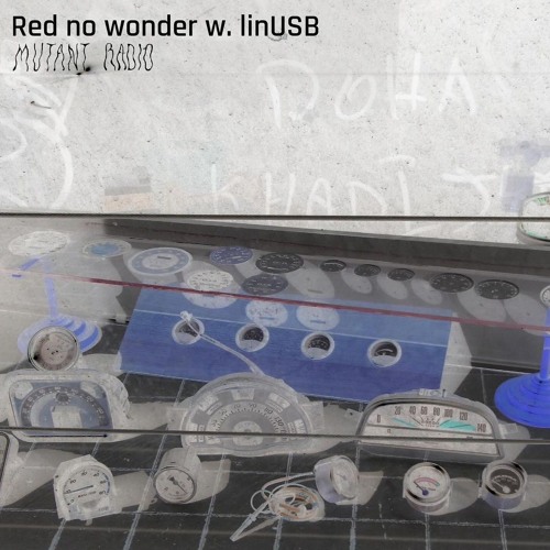 Red no wonder w. linUSB [09.10.24]