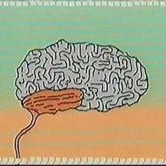 Coral - Jack Stauber