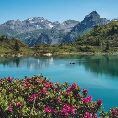 Saf Dağ Havasında Rahatlama meditasyonu
