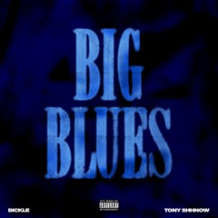 BICKLE - BIG BLUES FEAT TONY SHHNOW