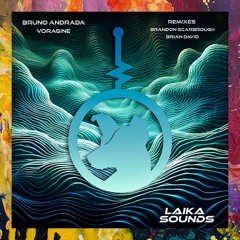 PREMIERE: Bruno Andrada — Voragine (Brian David Remix) [Laika Sounds]