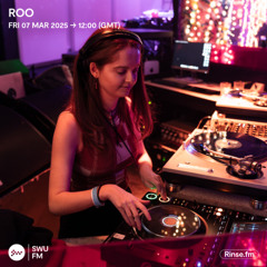 Roo - 07 March 2025