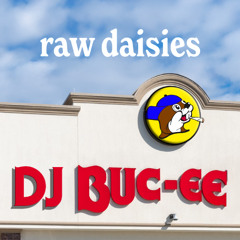 dj buc-ee LIVE @ Sampler 2 [Raw Daisies]