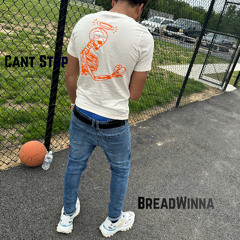 Cant Stop
