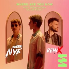 Where Are You Now - Lost Frequencies Ft Calum Scott (David Nye Remix)