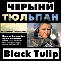 Black Tulip - Alexander Rozenbaum (Черный тюльпан, cover by Oblomovblues)