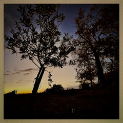 Aci la seuva tornarà_// Thème principal de la BO du documentaire "Ici, la Forêt reviendra" d'Alexandre Cartigny_// Matèu et Thomas Baudoin