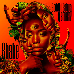 Shake (Instrumental Mix)