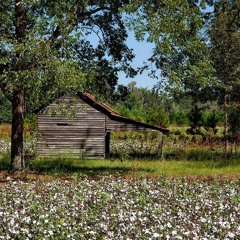 Sweet Mississippi.mp3