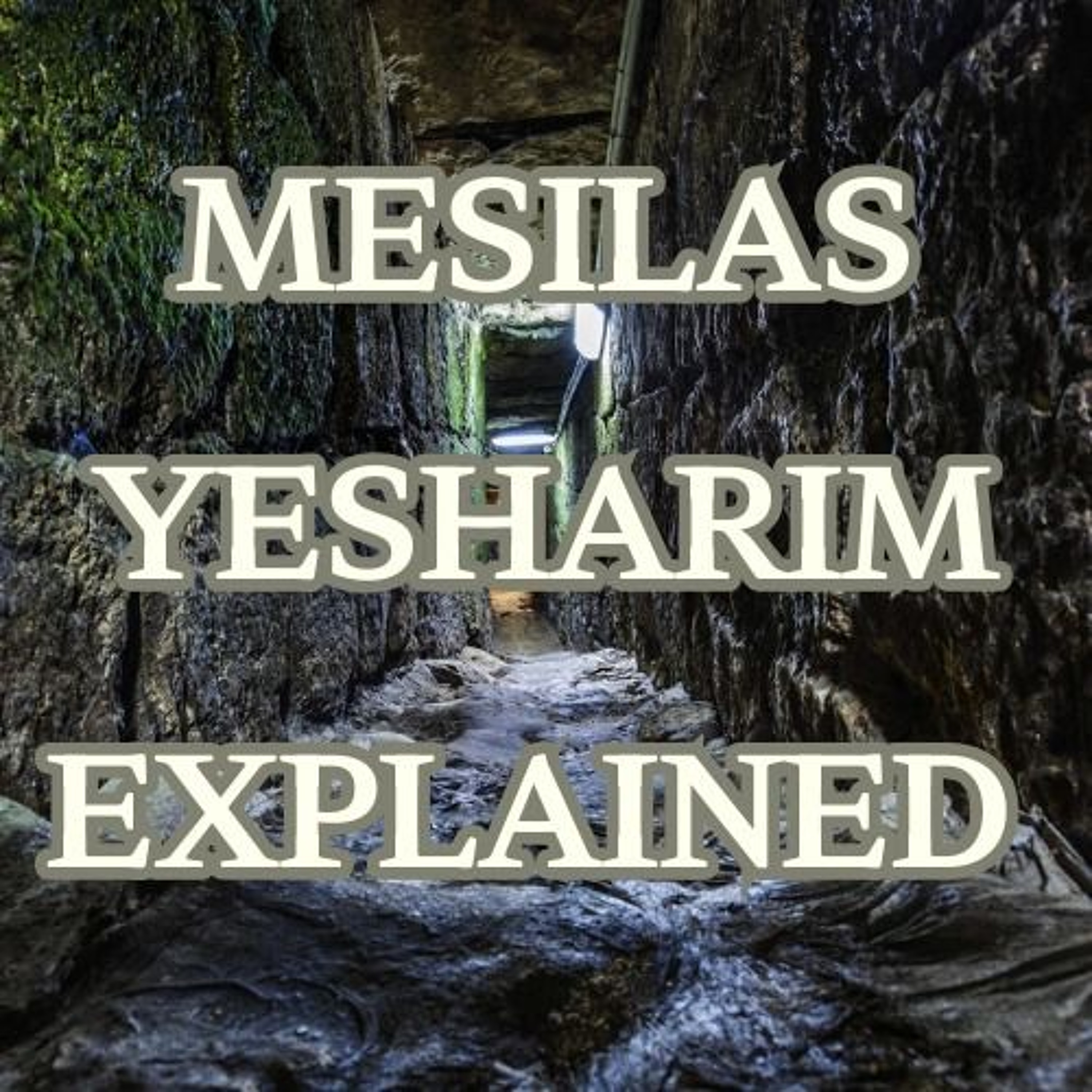 #58 - Perek Daled E - Mesilas Yesharim Explained episode artwork