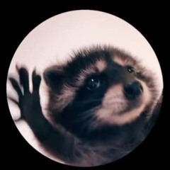 Pedro Pedro Pedro🦝🌮