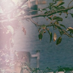 I Have Many Potatoes But No Closets (naviarhaiku550)