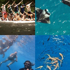 Review Special Price Snorkel With Nurse Sharks And Explore Vaavu Atoll Maldives