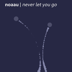 never let you go