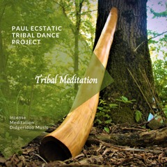 Tribal Analog Drum And Digeridoo (Meditation Special)