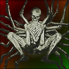 SHAPESHIFTER _ Little Duck