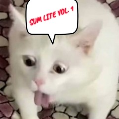 SUM LITE VOL. 1