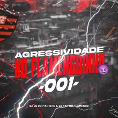 AGRESSIVIDADE NO FLAMEGUINHO 001 - DJ YAN DO FLAMENGO & DJ LS DO MARTINS )