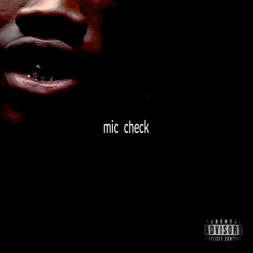 MIC CHECK