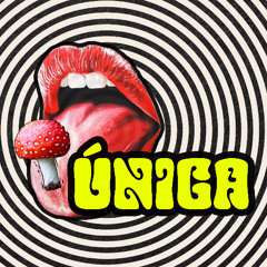 UNICA WARM UP - POWAZSMIX002