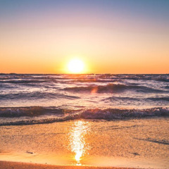 Paradise