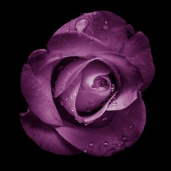 Forbidden ("Kinks") | Purple Version [Demo]