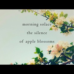 Apple blossom morning [naviarhaiku500] with Maxx Black