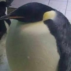 Do You Know The Word?