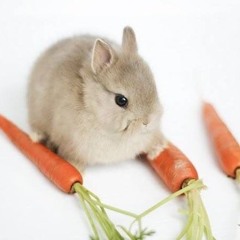 i wish i were heather