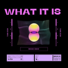 What it is | Docheii cover