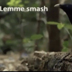 Lemme Smash