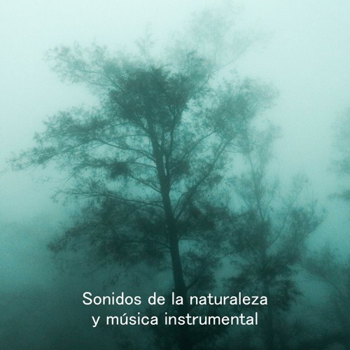 Stream Tiempo para meditar by RW Música instrumental con sonidos de la  naturalez | Listen online for free on SoundCloud
