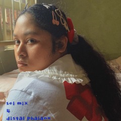 sol mix 4 distal phalanx