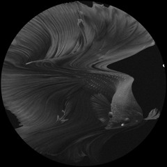 Dan Shaw - Shout for the Acid [FREE DOWNLOAD]