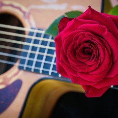 Lord I Love You More And More Each Day-🌺🌱-Cada Dia te amo Mas Señor🌹🎻