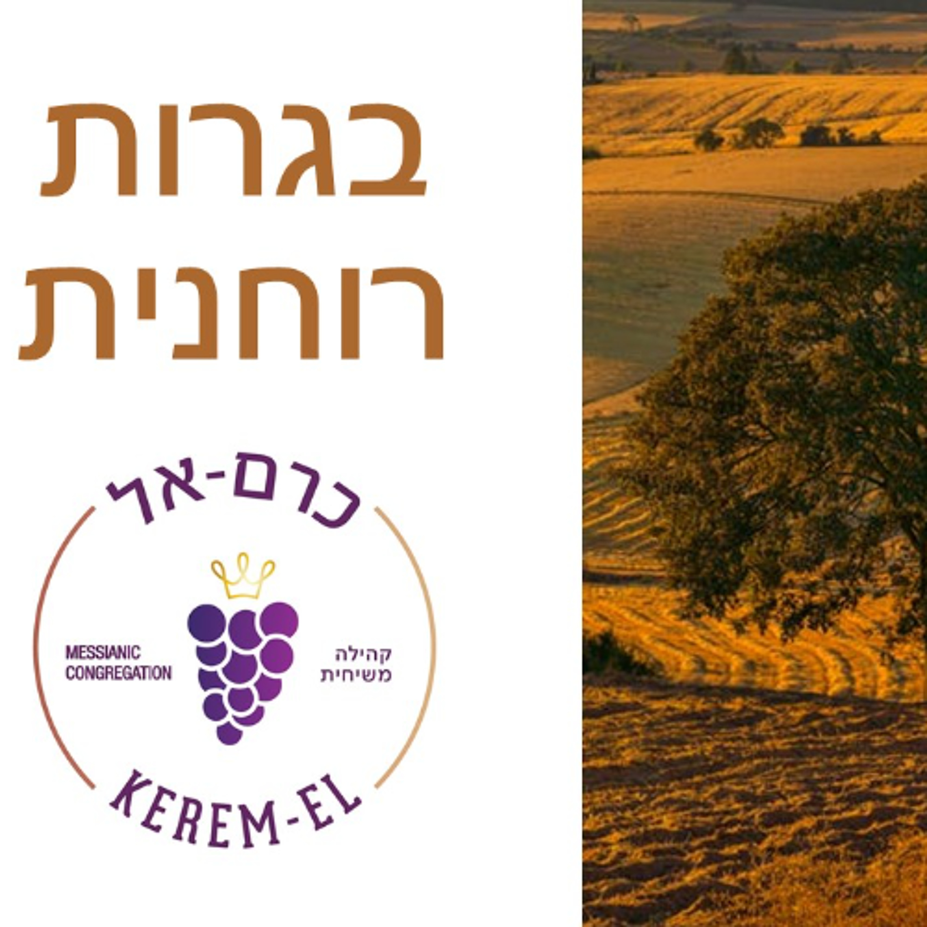 נתקדם נא אל הבגרות: אל העברים פרק ה' פס 11 - פרק ו' פס' 3 - 2.4.2022 episode artwork