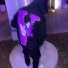 𝐽. 𝐵𝑎𝑏𝑦－𝑡ℎ𝑖𝑠 𝑡ℎ𝑎𝑡 𝑓𝑎𝑠𝑖𝑜𝑛. (𝑠𝑙𝑜𝑤𝑒𝑑 𝑥 𝑟𝑒𝑣𝑒𝑟𝑏)