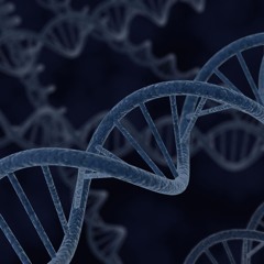 its in my genes prod filthygenes