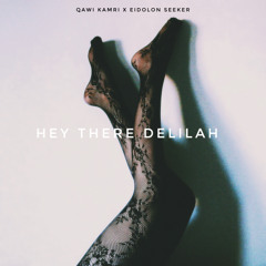 hey there delilah (feat. Eidolon Seeker)