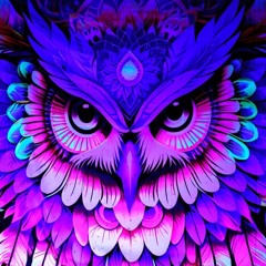 Where The Sheep Sleep 2025 (Burning Man NL) @ House Of SoCo