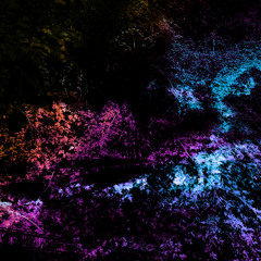 Inverse Spectrum